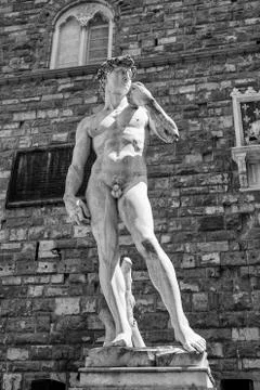 The David of Michelangelo Foto stock