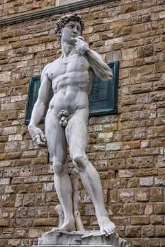 The David Foto stock