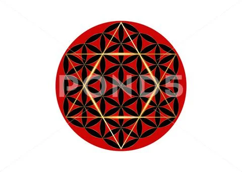 David Star with Flower of Life, Sacred Geometry, Metatrons cube. Gold symbol Stock Illustration