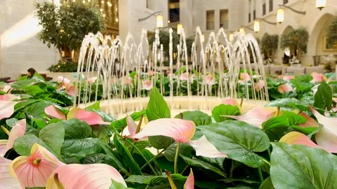 David Tower, Jaffa Gate, Jerusalem Old City 스톡 동영상 125016842