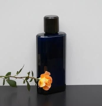 Davidoff Cool Water, Eau de Toilette, large perfume bottle decorated with a rose Stock Photos