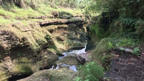 Davids Fall Stock-Footage 112974741