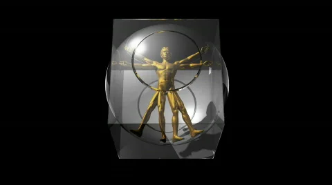 DaVinci Stock Footage 329677