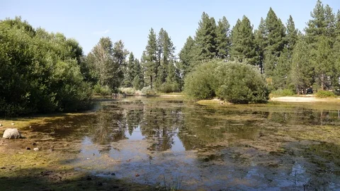 Davis Creek Camground Pond Stock Footage 93469414