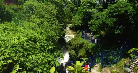 Davis fall-1 Stock Footage 113255416