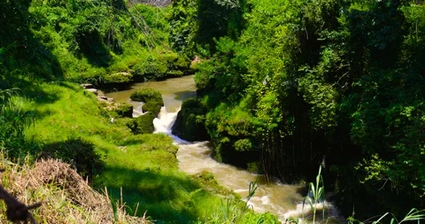 Davis fall -2 Stock Footage 113256977