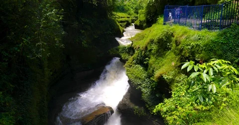 Davis fall Stock Footage 113256126