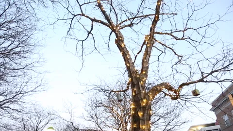 DAVIS SQ CENTER Stock Footage 179972600