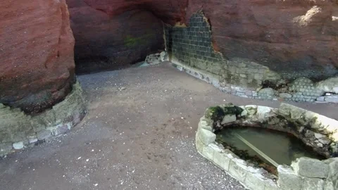 Dawish Warren Stock Footage 303994517