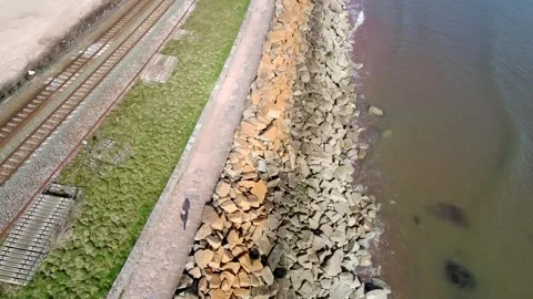 Dawish Warren Stock Footage 303994818