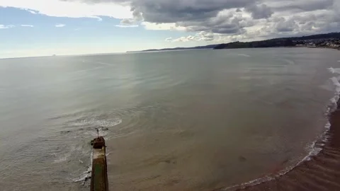 Dawish Warren Stock Footage 303994897