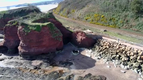 Dawish Warren Stock Footage 303994945