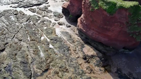 Dawish Warren Stock Footage 303994971