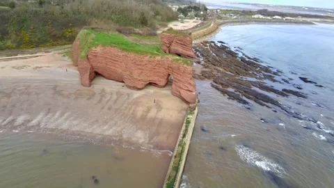 Dawish Warren Stock Footage 303995003