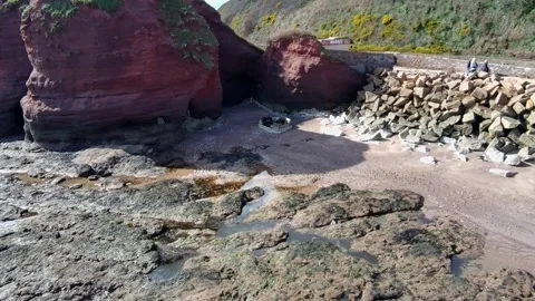 Dawish Warren Stock Footage 303995068