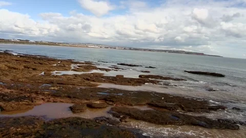 Dawish Warren Stock Footage 303995079