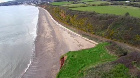 Dawish Warren Stock Footage 303995186