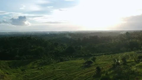 Dawn and sunrise with rice fields Video stock 114352987