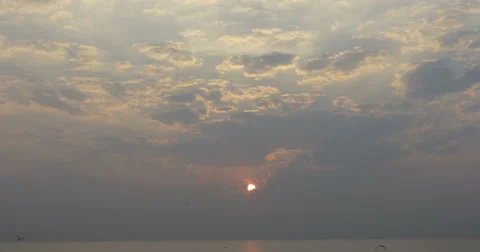 Dawn on the beach Stock Footage 65996349