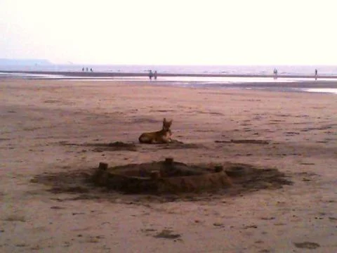 A dawn at the beach Stock Photos