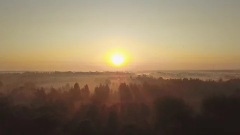 Dawn in the Chernobyl exclusion zone. View from the copter. Stock Footage 107375035