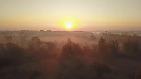 Dawn in the Chernobyl exclusion zone. View from the copter. Stock Footage 107375281