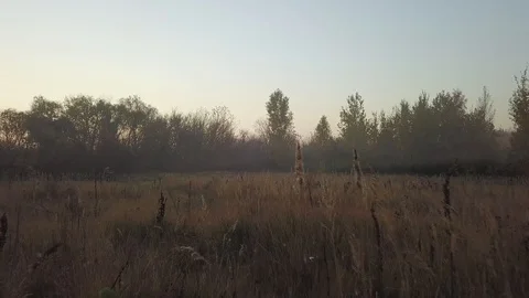 Dawn in the Chernobyl exclusion zone. View from the copter. Stock Footage 107375454
