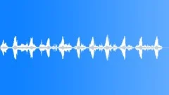 Dawn Chorus 1 Sound Effect