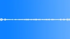 Dawn chorus in rural England Sound Effect