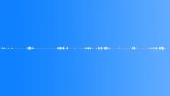 Dawn Chorus Sound Effect