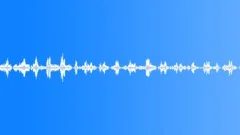 Dawn Chorus Spring 4 Sound Effect