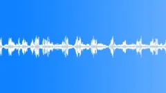 Dawn Chorus Spring Sound Effect