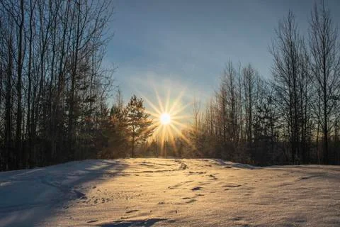 Dawn. Christmas. Stock Photos