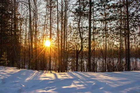 Dawn. Christmas. Stock Photos