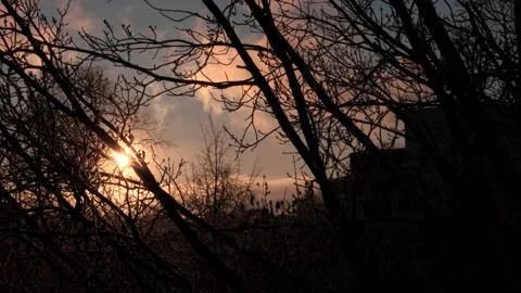 Dawn in the city in winter Stock Footage 168617731