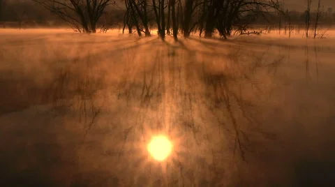 Dawn cold in the lagoon Video stock 45660371