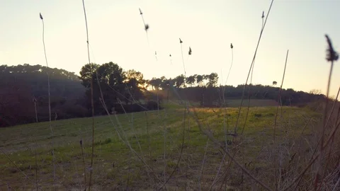 Dawn at countryside during the end of spring Stock Footage 125212190
