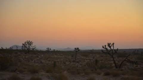 Dawn in the desert Stock Footage 9547925