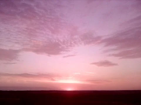 Dawn in the field Stock Photos