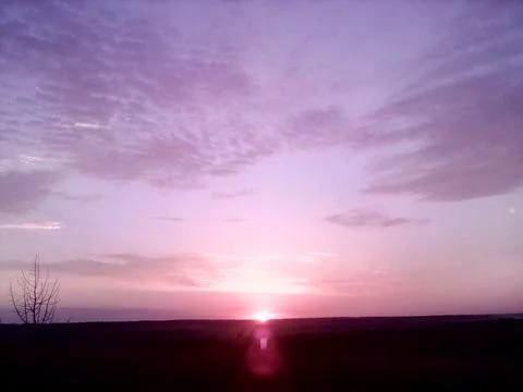 Dawn in the field Foto stock