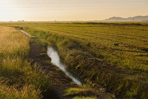 Dawn in the fields in southern Spain 写真素材