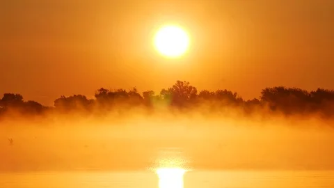 Dawn in the fog 库存影片 112321476