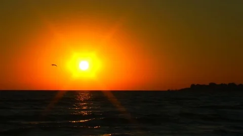 Dawn Видео 81451925