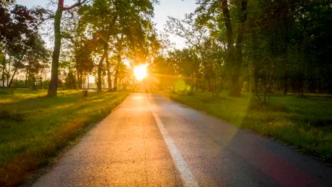 Dawn in the forest. An asphalt path winds between the trees. The sun's rays Stock Photos