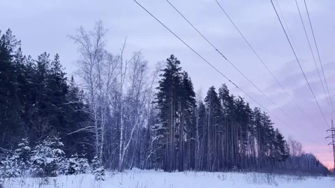 Dawn in the forest where the power lines run. Stock Footage 262750689