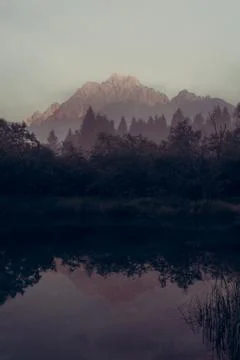 Dawn illuminated mountains reflecting in forest lake. Stock Photos