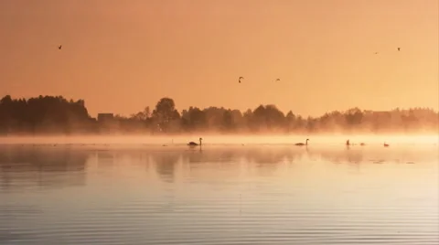 Dawn on the lake 스톡 동영상 1354542