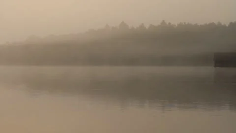 Dawn at a lake Stock Footage 6101231