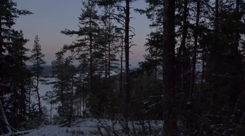 Dawn at the lake Video stock 58950599