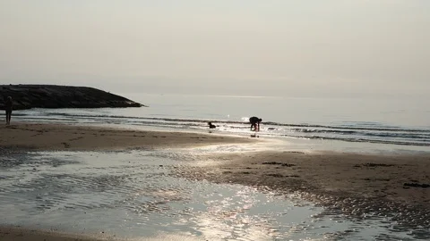 Dawn landscape at the beach Stock Footage 112520037